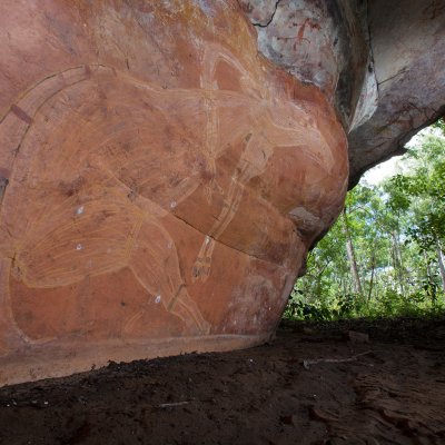 Kangaroo horse: Aboriginal artists with a visual template for macropods drew kangaroo-like representations of their first impressions of horses. Copyright David Hancock Skyscans